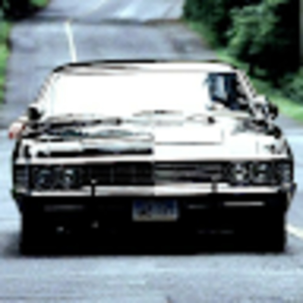 Meet your Posher, Emma